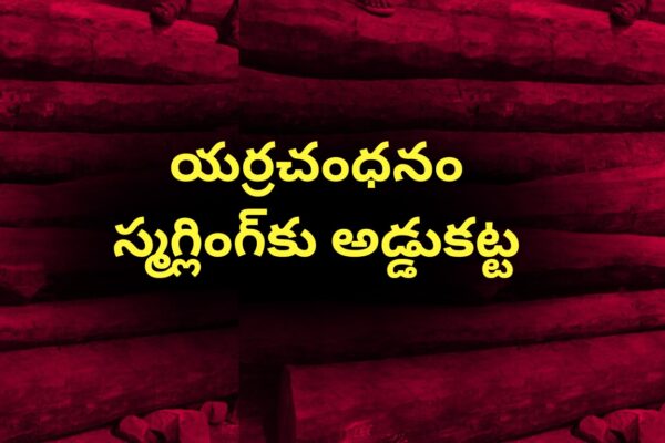యర్రచంధనం స్మగ్లింగ్‌కు అడ్డుకట్ట
