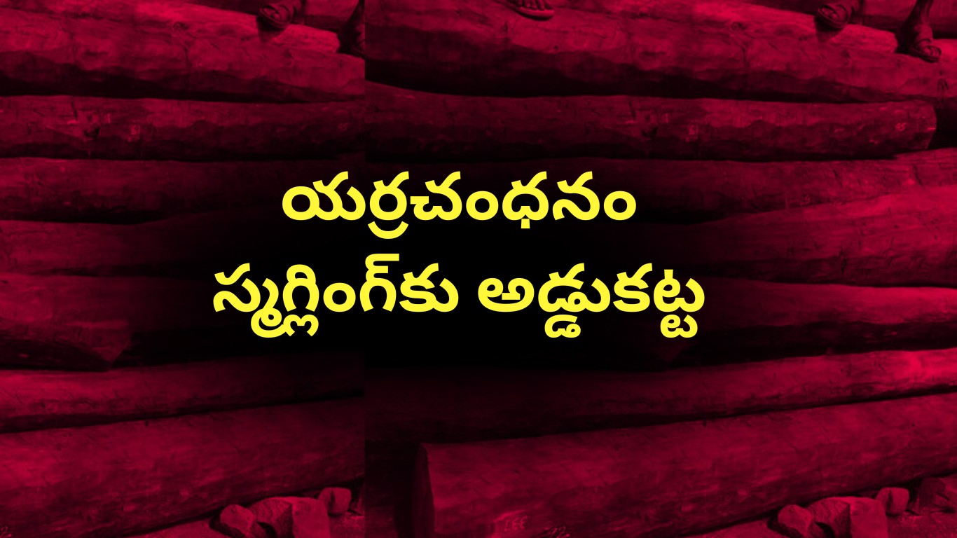 యర్రచంధనం స్మగ్లింగ్‌కు అడ్డుకట్ట