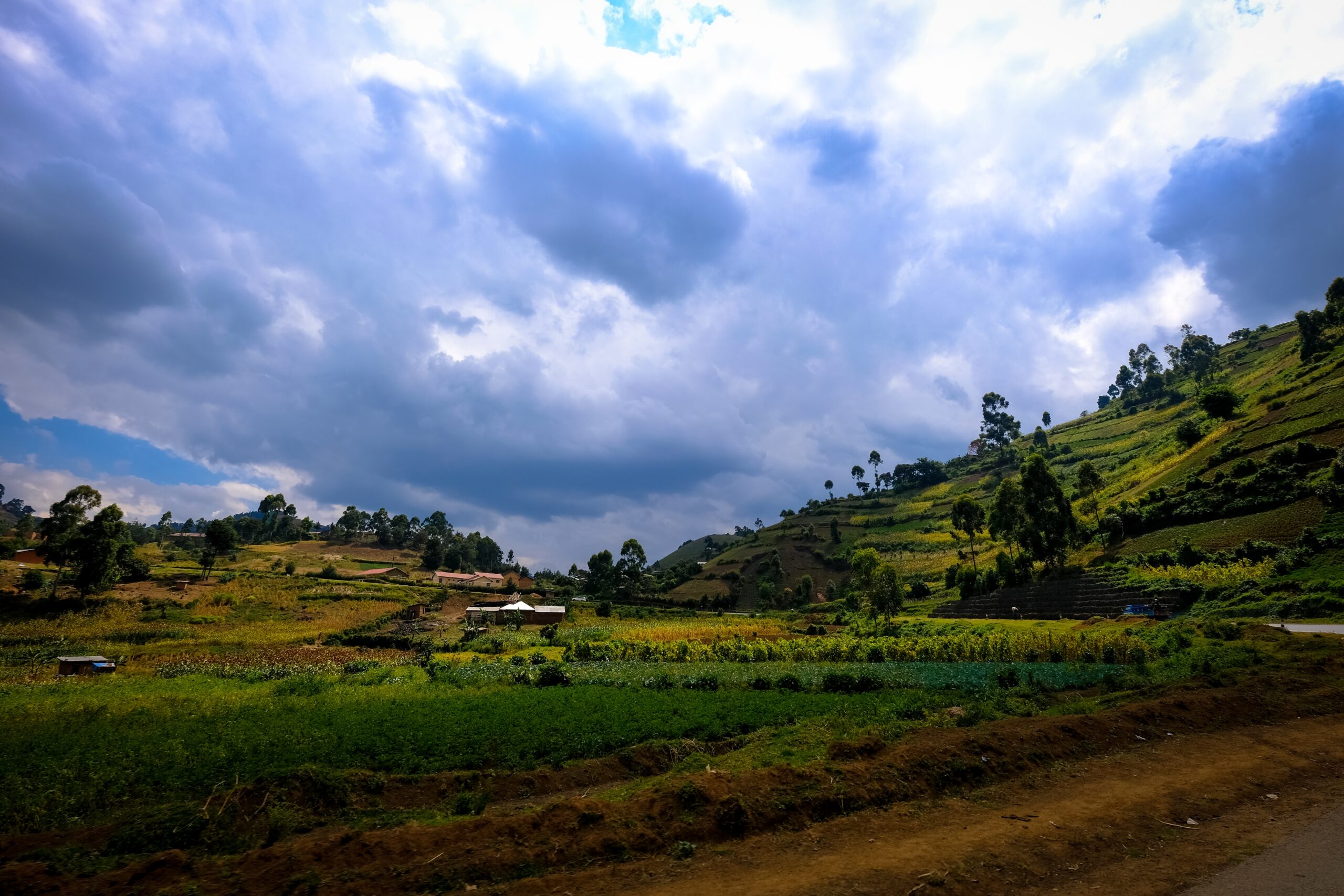 Scenic view of Araku Valley attractions