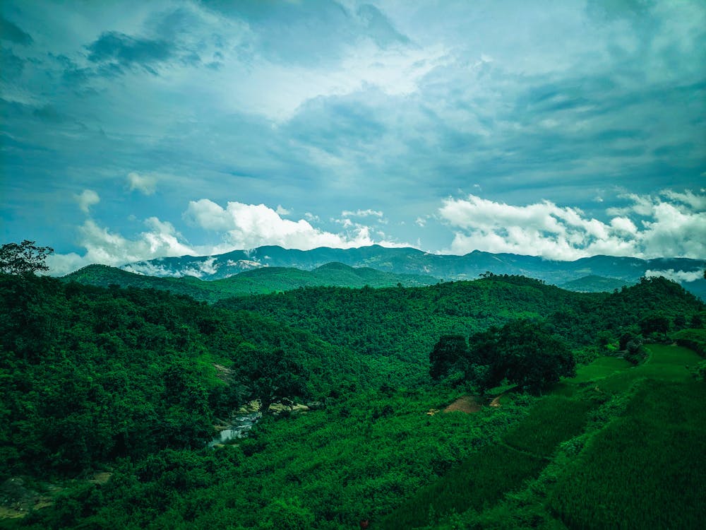 A scenic view of Araku Valley with lush green hills and coffee plantations under a clear sky.